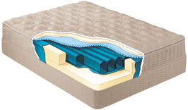 Convert Sleep Number Air Bed to Tube Waterbed With Free Flow Tubes